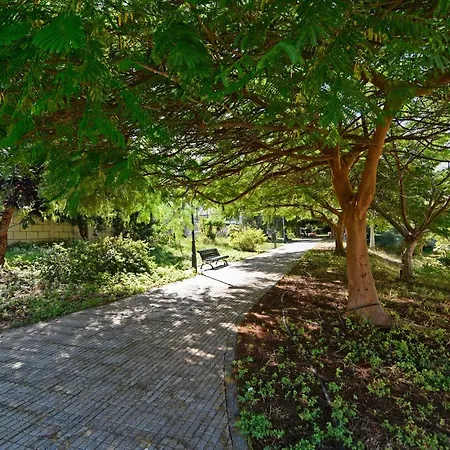 Lavanda * Puerto de la Cruz (Tenerife)