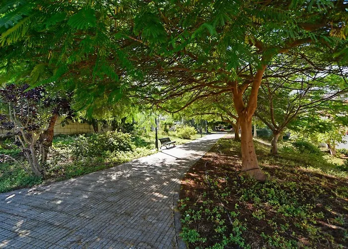 Lavanda * Puerto de la Cruz (Tenerife)